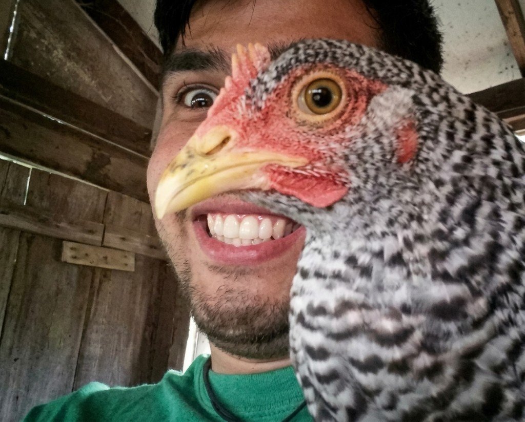 Selfie où le bec d'une poule se superpose à la bouche d'une personne